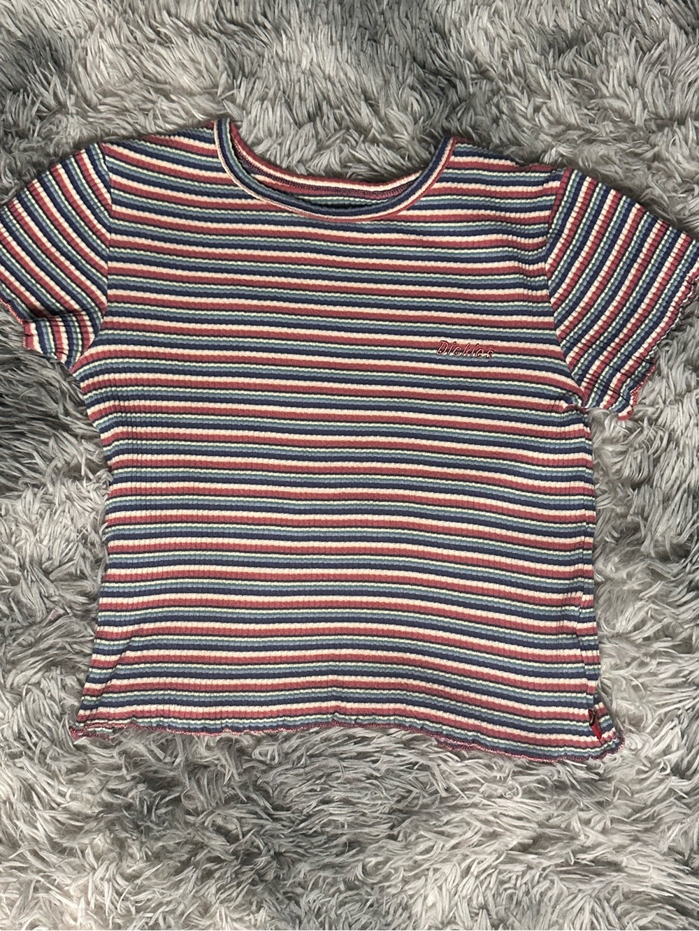 Dickies Multicolor Striped Ribbed Crop Top